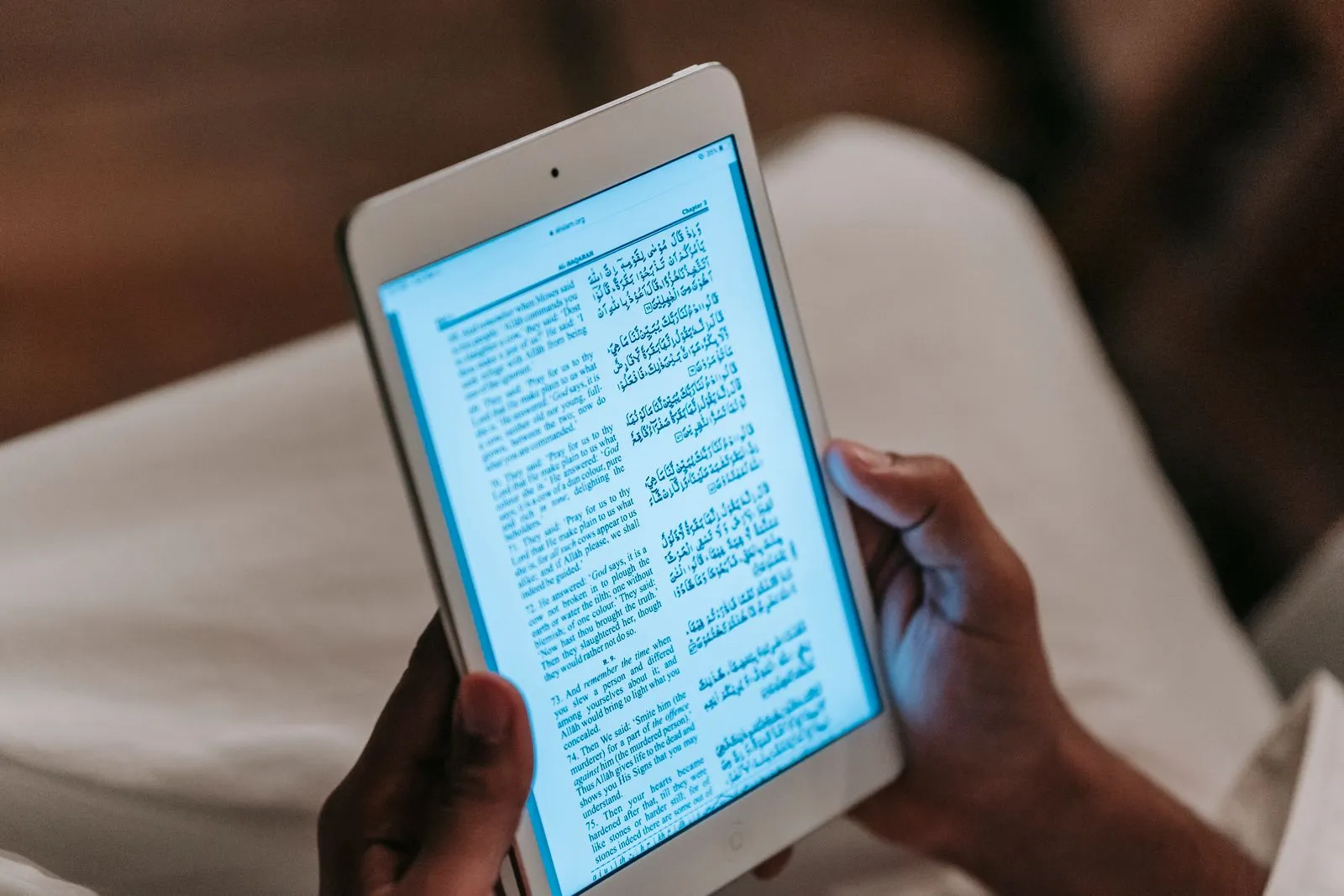 Person reading a digital publication on a tablet
